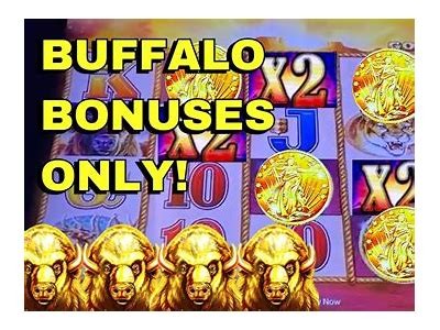 Discover the Best Casino Slots for Exciting Wins and Thrilling Gameplay Experience